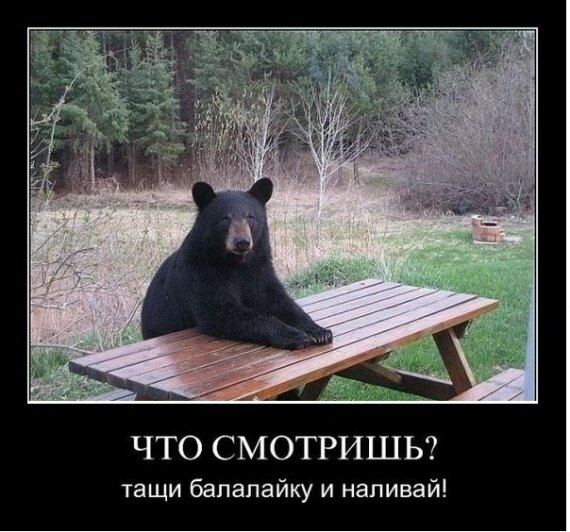 Картинки по запросу "картинки утро понедельника"