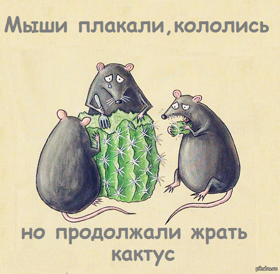 1446198603_1268618402.png