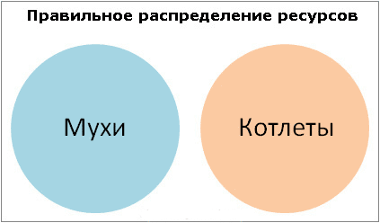 Картинки по запросу мухи и котлеты отдельно