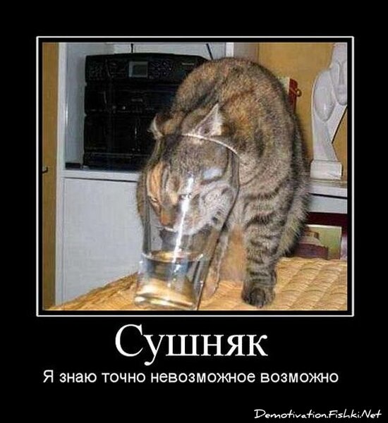 Пердеж — новые прикольные фото, анекдоты, видео, посты на fishki.net