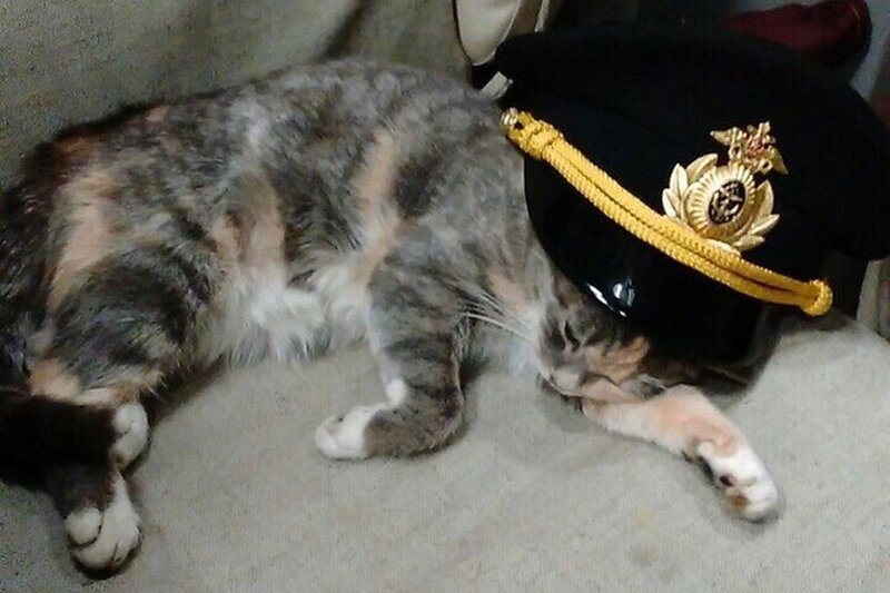 Musya_1_.jpg