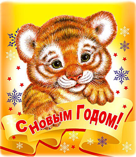 С Новым Годом Тигра!!! | Блог Васильева Владимира
