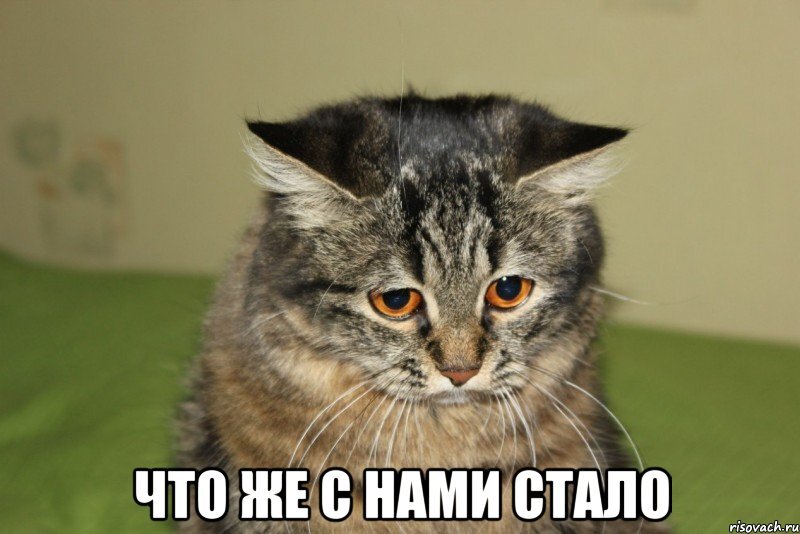 2098692_original.jpg