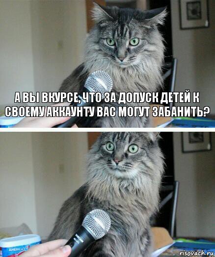 kot-s-mikrofonom_146799911_orig_.jpg