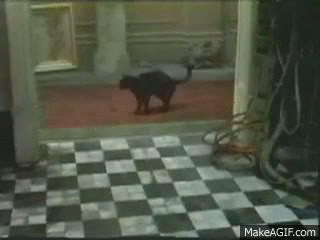 2020.03-1.gif