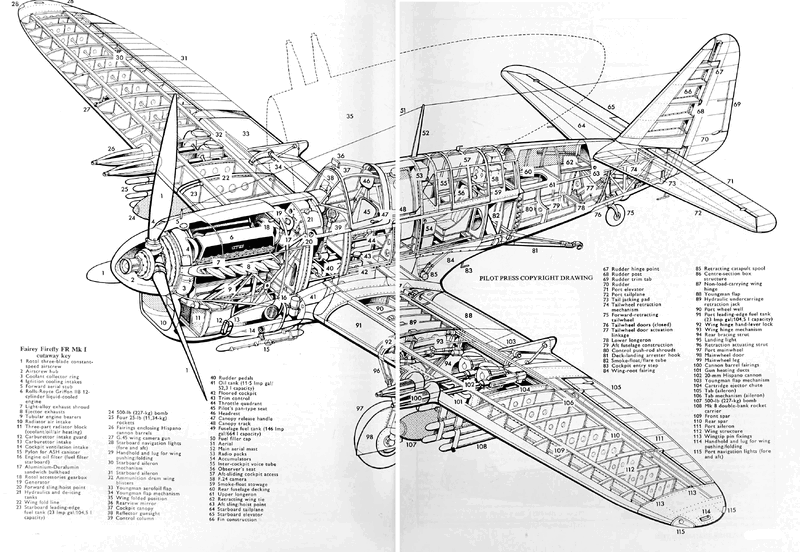 firefly-4.gif