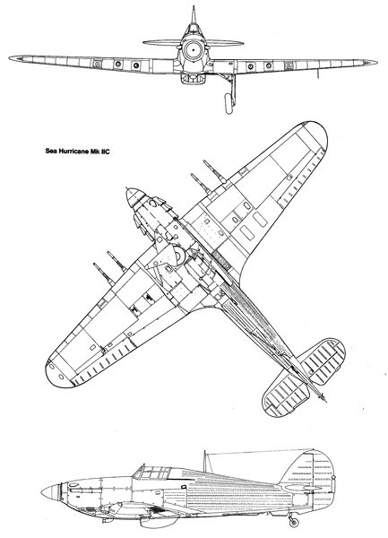 shurr-1.gif