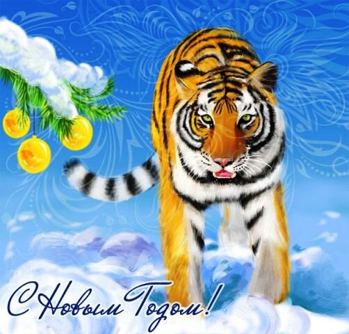 Картинки Тигра — символа 2022 года: новогодние, красивые, прикольные
