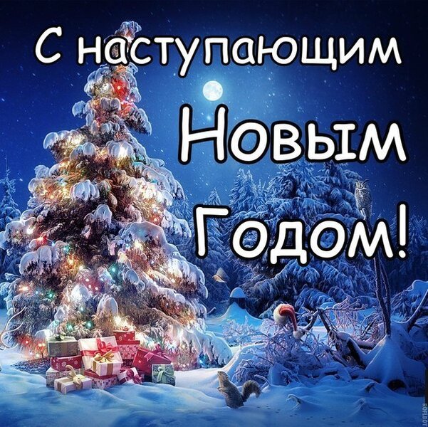 Яркие поздравления С наступающим новым годом! » 72tv.ru - Картинки и  открытки &quot;Красивые поздравления&quot;!