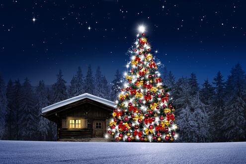 Обои Наряженная новогодняя елка у деревянного дома на фоне ночного  заснеженного леса на рабочий стол