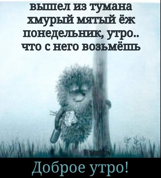 Юмор алкоголиков: Понедельник, утро...