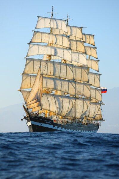 ÐÑÐ°ÑÐ¸Ð²ÑÐµ ÐºÐ°ÑÑÐ¸Ð½ÐºÐ¸ Ð±Ð°ÑÐº, ÐºÑÑÐ·ÐµÐ½ÑÑÐµÑÐ½, Ð¿Ð°ÑÑÑÐ½Ð¾Ðµ ÑÑÐ´Ð½Ð¾. Ð¤Ð¾ÑÐ¾ Ð¾Ð±