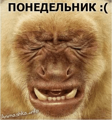 Открытка понедельник 5