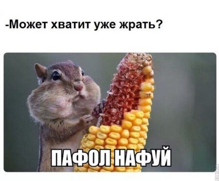 Картинки веселые смешные (35 фото) 🔥 Прикольные картинки и юмор