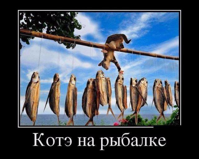 Демотиваторы четверга