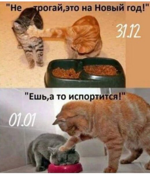 3-49.jpg