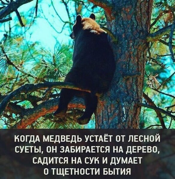 misli-25.jpg