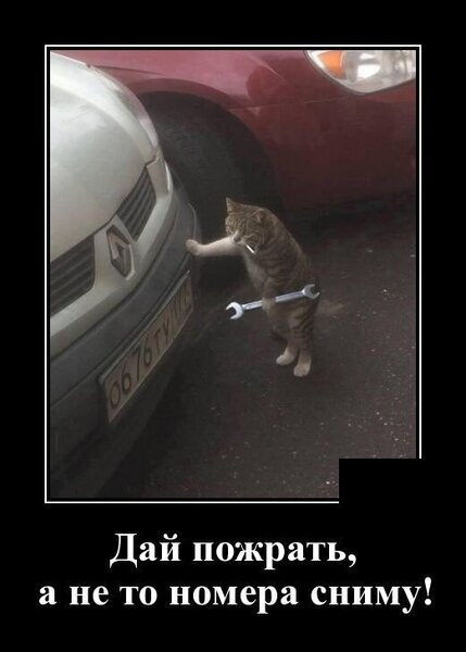 Картинки по запросу "картинки утро понедельника"