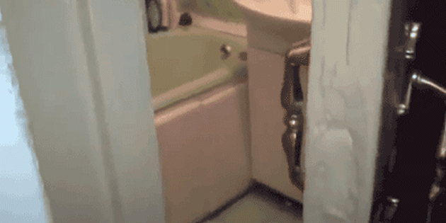 cat_1477647309.gif