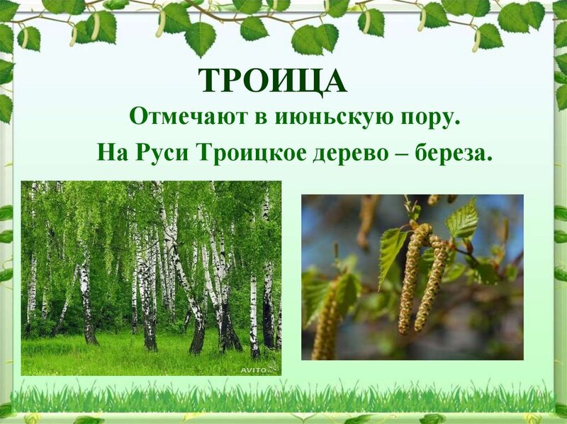 Picture background