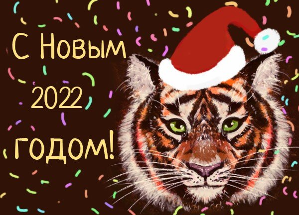 Что можно, а что нельзя дарить на Новый 2022 год Черного Водяного Тигра?