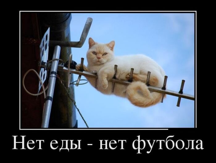 Демотиваторы (30 фото) » Невседома - жизнь полна развлечений, Прикольные  картинки, Видео, Юмор, Фотографии, Фото, Эротика. Развлекательный ресурс.  Развлечение на каждый день