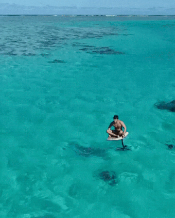 1575964840199485625.gif