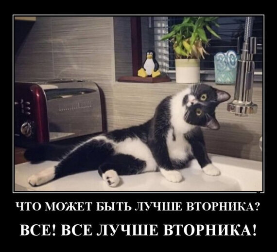 Вторник - 04.04.23 10:28 | Пикабу