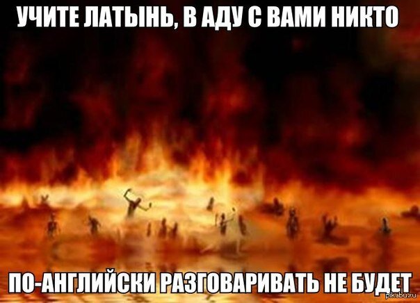Учите латынь! | Пикабу