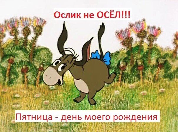 Картинки по запросу ослик иа пятница