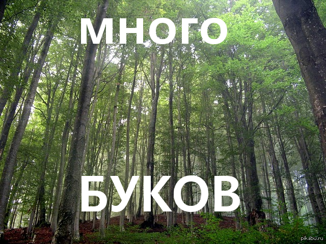 1393676239_1685064173.png