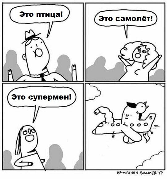 1493586453179075142.jpg