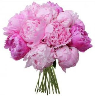 https://cutflower.ru/wa-data/public/shop/products/82/02/282/images/348/348.0x340.jpeg