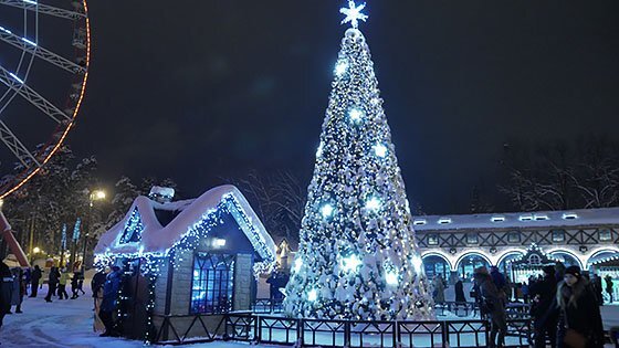 Отдых на Новый год в Украине 2021, выходные на Новый год, туры на Новый год