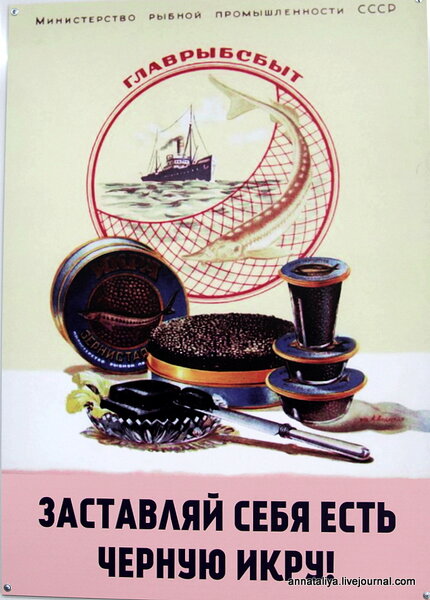 Заставляй себя есть чёрную икру!