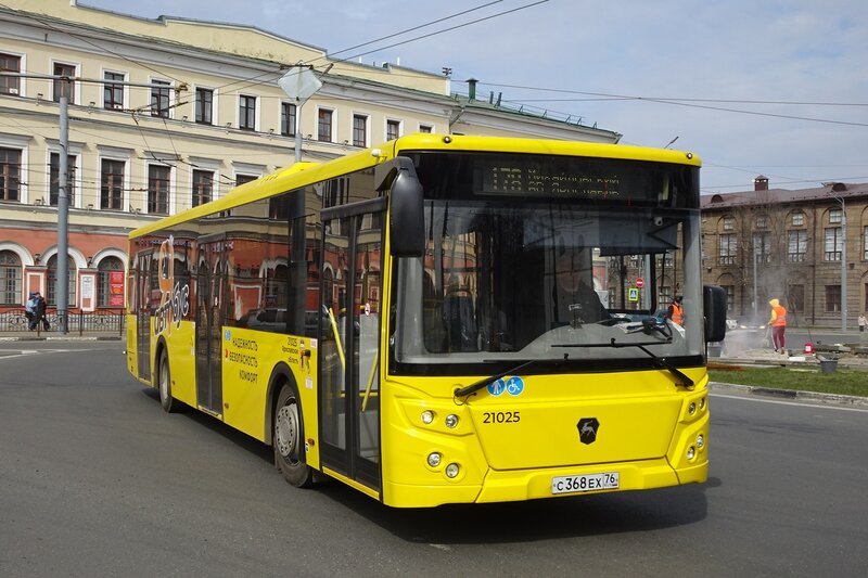 3043201.jpg