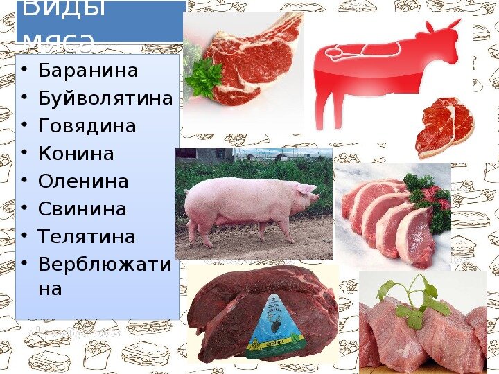 8bd2615cd7363b2ccd50367c5b3b9bb2cf64e068.jpg