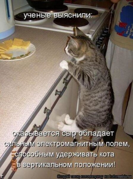 Прикольные картинки с надписями (30 фото) ⚡ Фаник.ру