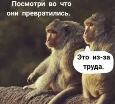 c308958ef32da8e10bc2c7e5618950ab.png