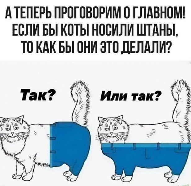 1474b9a166a36f1a31af934f05b71297.png