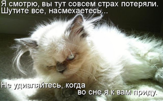 8f4f0afaaa862a4207b674015edcd149.png