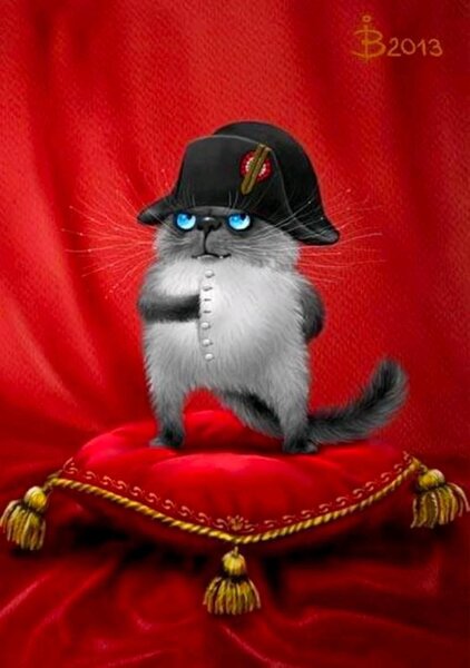 Кот Наполеон