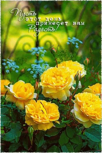 ÐÐ¾Ð±ÑÐ¾Ðµ ÑÑÑÐ¾ ÐºÐ°ÑÑÐ¸Ð½ÐºÐ¸ ÐºÑÐ°ÑÐ¸Ð²ÑÐµ Ð°Ð½Ð¸Ð¼Ð¸ÑÐ¾Ð²Ð°Ð½Ð½ÑÐµ.