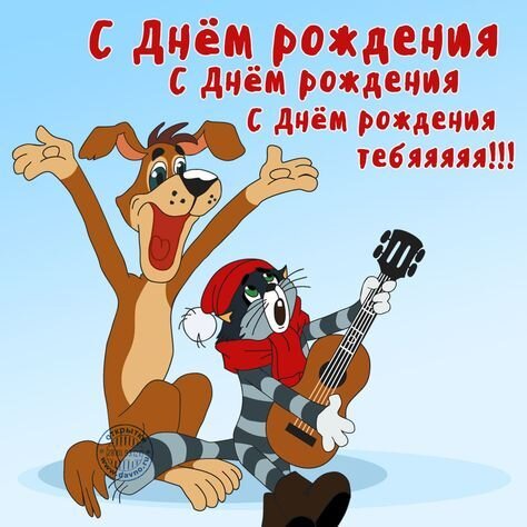 Пин от пользователя Бахтик Халназаров на доске с днём рождения) | С днем  рождения, День рождения, Смешные поздравительные открытки