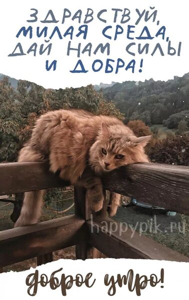 Картинки С добрым утром среды - скачать