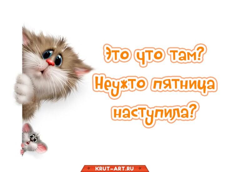 Picture background