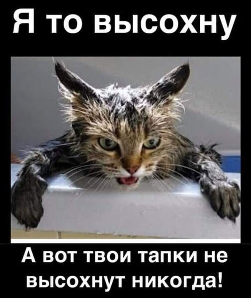 (48) Одноклассники