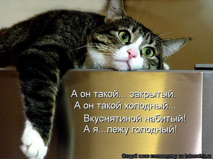 6da9c503dad197c5d45042fb1edfe0a3.jpg