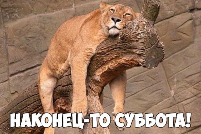 Прикольные картинки про субботу с надписью (23 фото)