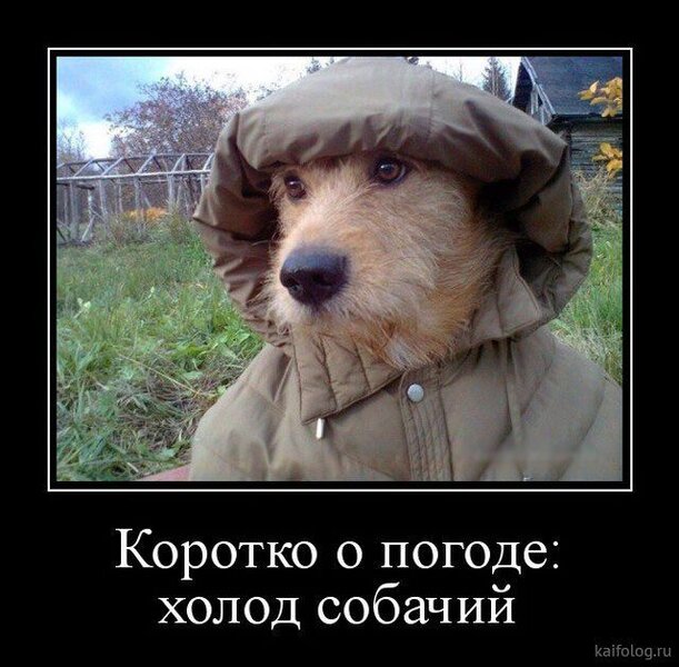 Picture background